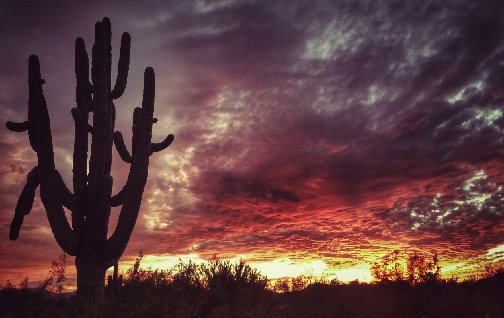 Sunsets